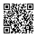 To view this 2009 Toyota Sienna Lakewood CO from D1 Auto Credit, please scan this QR code with your smartphone or tablet to view the mobile version of this page.